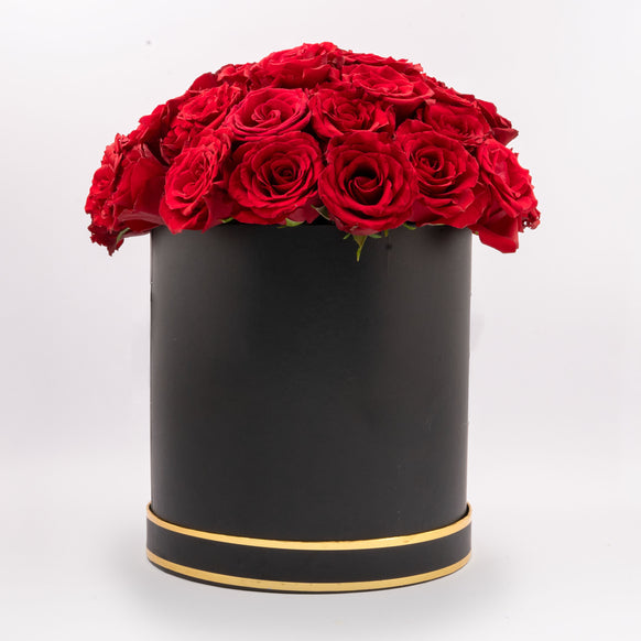 Classic Red Rose