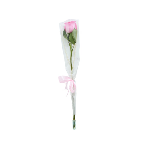 Single Rose Pink