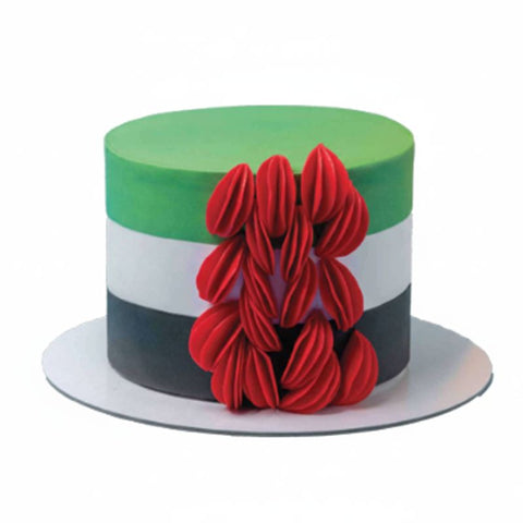 Origami fold UAE flag cake