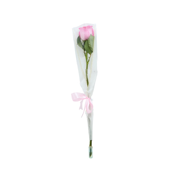 Teacher's Special Day Single Rose Pink