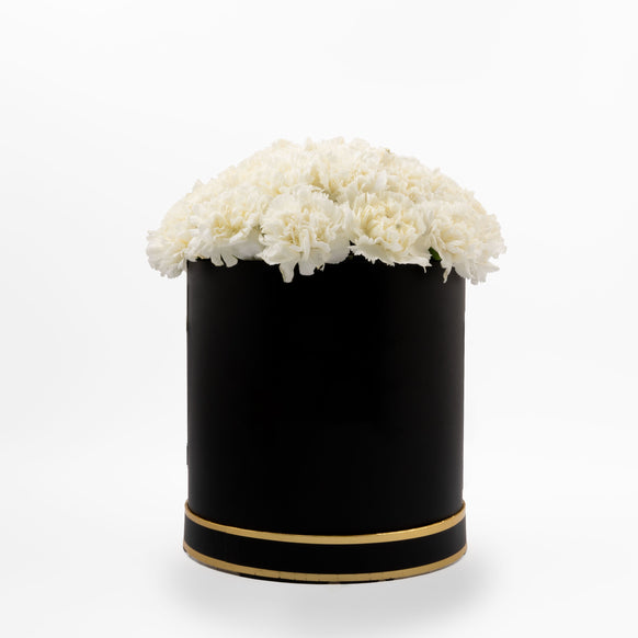 White Carnation Blossom