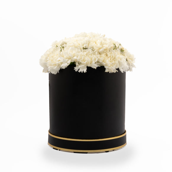 White Carnation Blossom