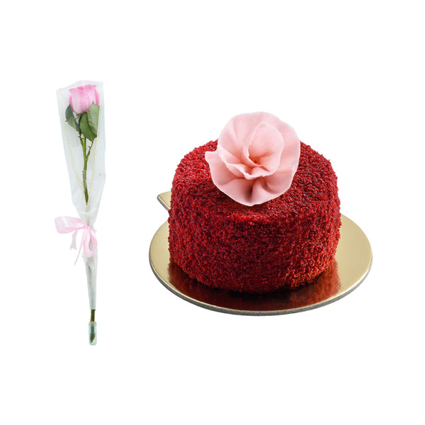 The Pink Hope Bundle