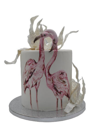 Flamingo Painted Cake