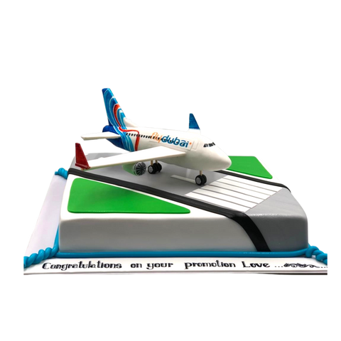 Fly Dubai Airplane Cake