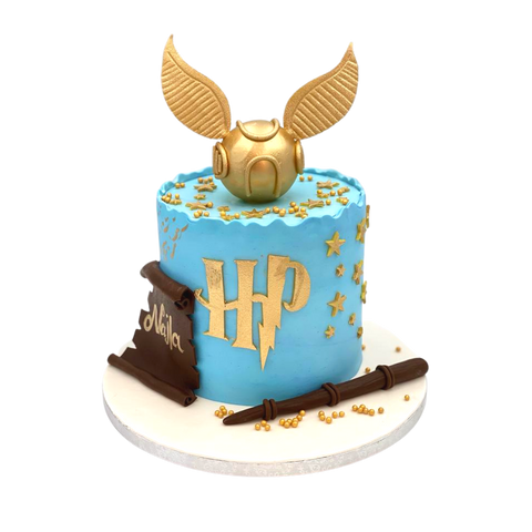 Blue Harry Potter Stars Cake
