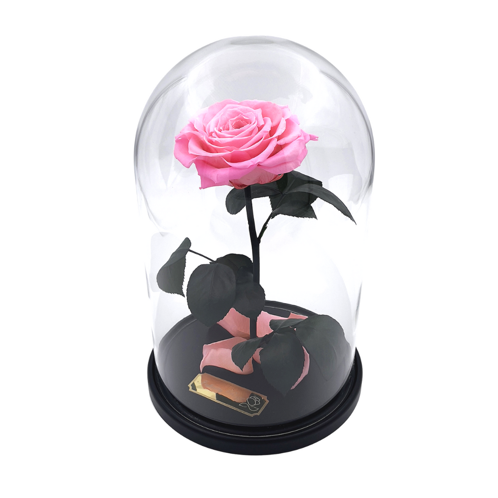 Forever rose best sale