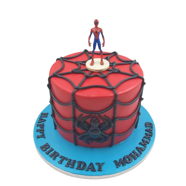 Spiderman Web Cake