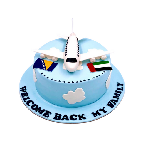 Airplane welcome back cake