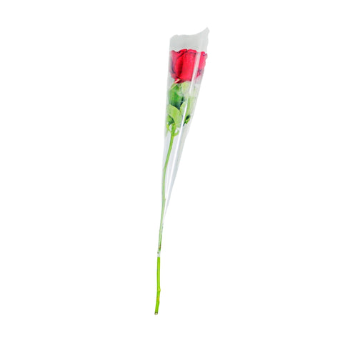 Single Red Rose Flower