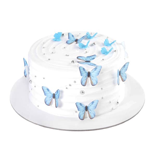 Butterfly Cake